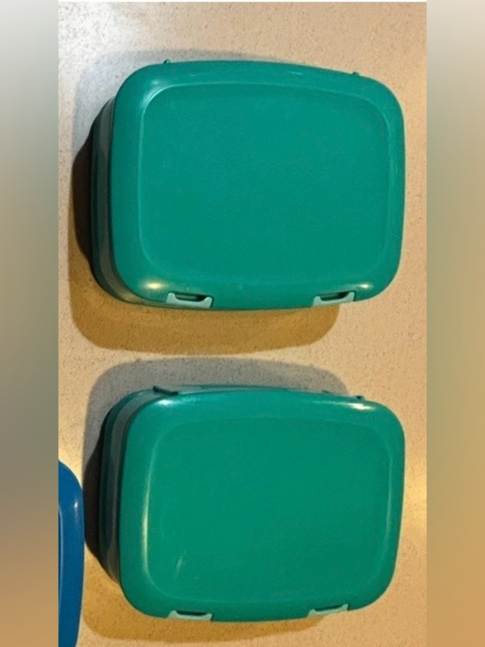 Bentgo Lunch Boxes